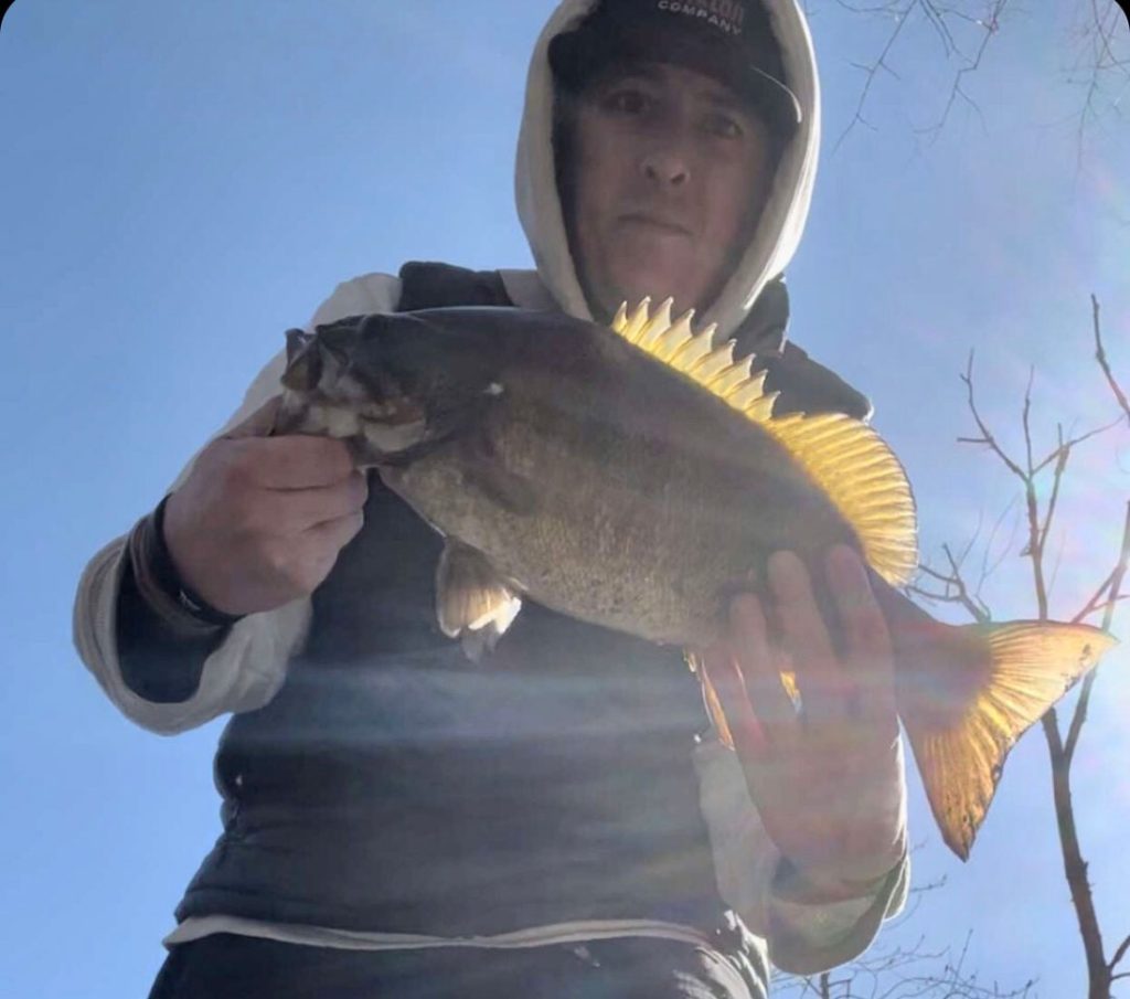 Nick DiPhillipo smallmouth bass