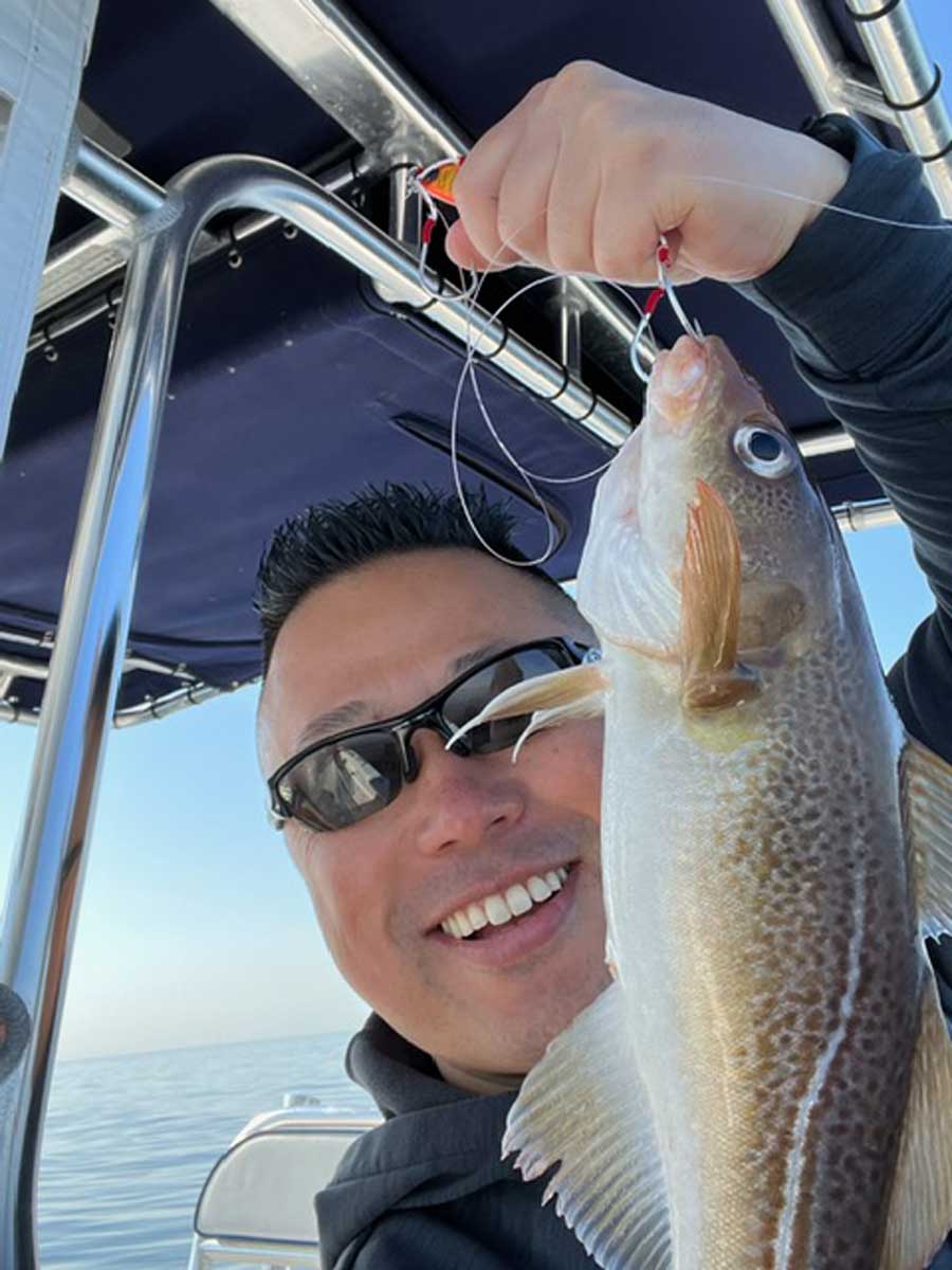 Tomo North Shore cod