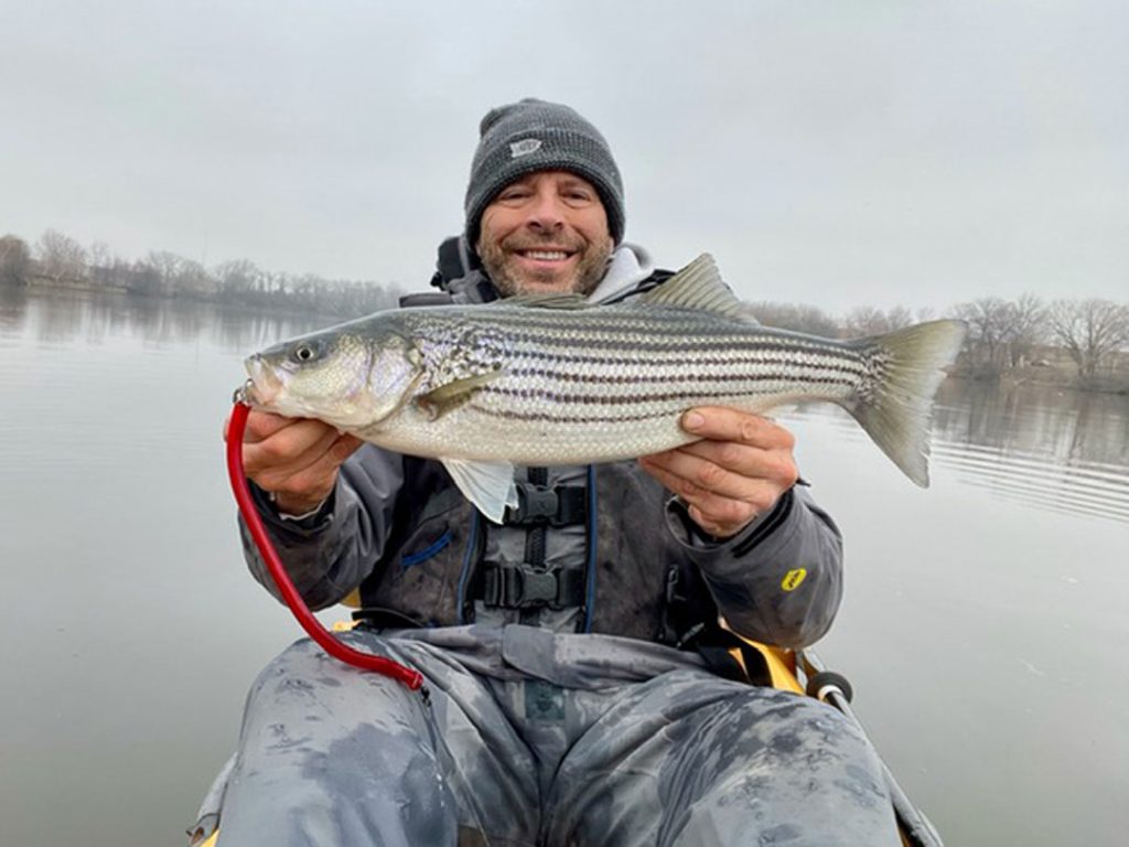 Boston Harbor holdover striped bass