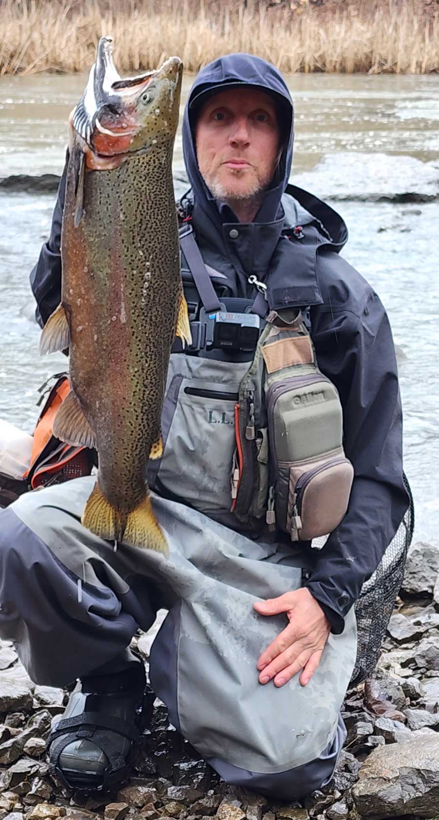 Mark Musser steelhead