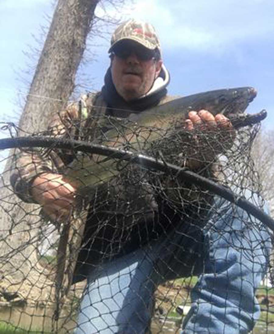 Mark Plennert steelhead