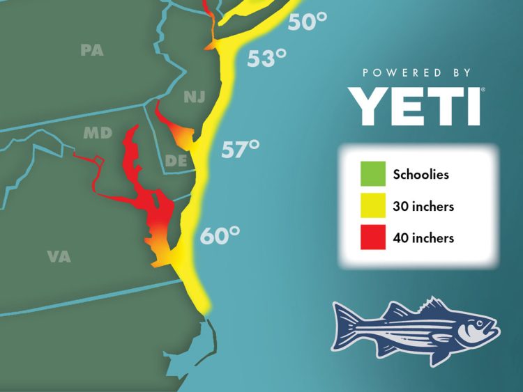 Striper Migration Map - April 21, 2023