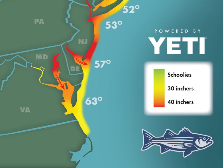 Striper Migration Map April, 28, 2023