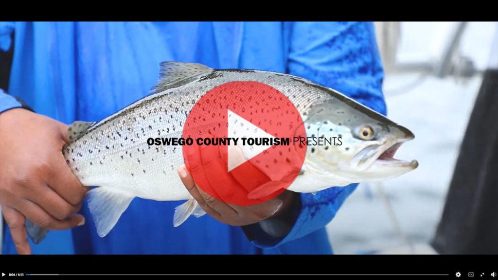 Oswego brown trout video