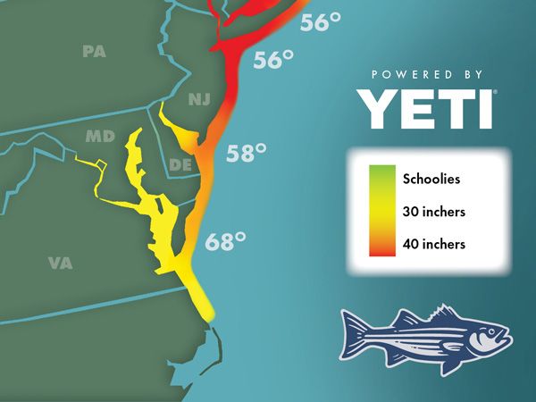 OTW Striper Migration Map - May 19, 2023
