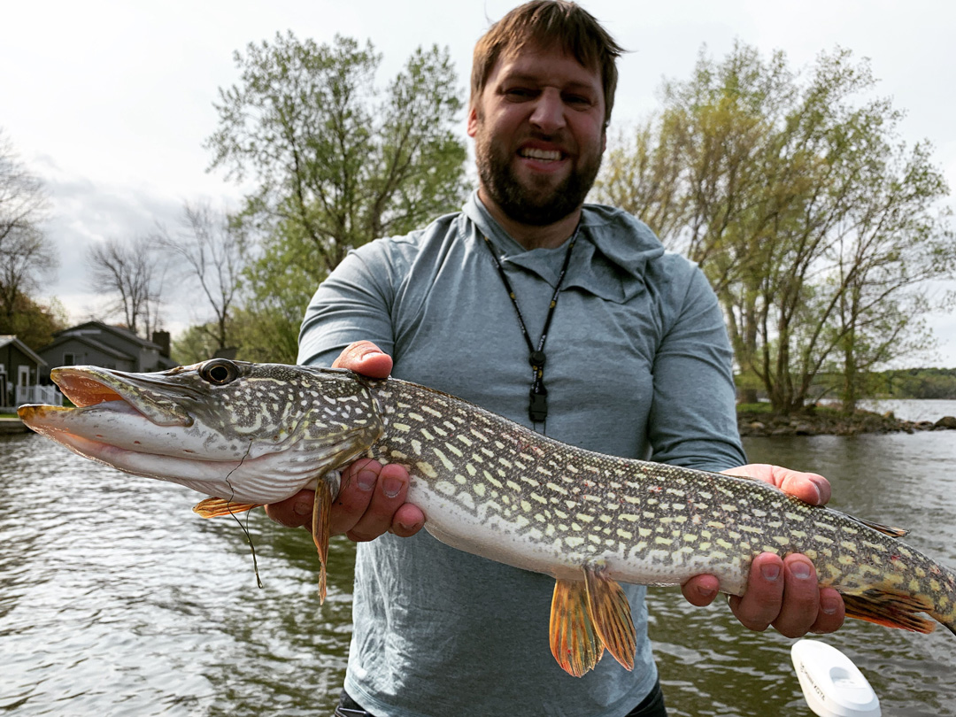 Dan K northern pike