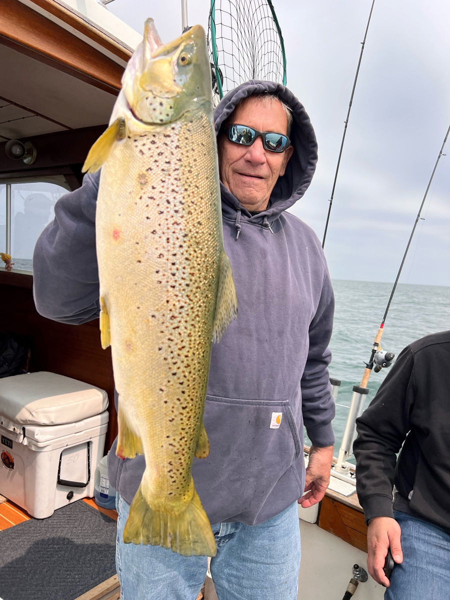 Lester T. brown trout