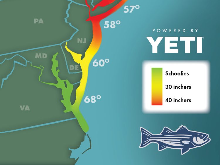 OTW Striper Migration Map