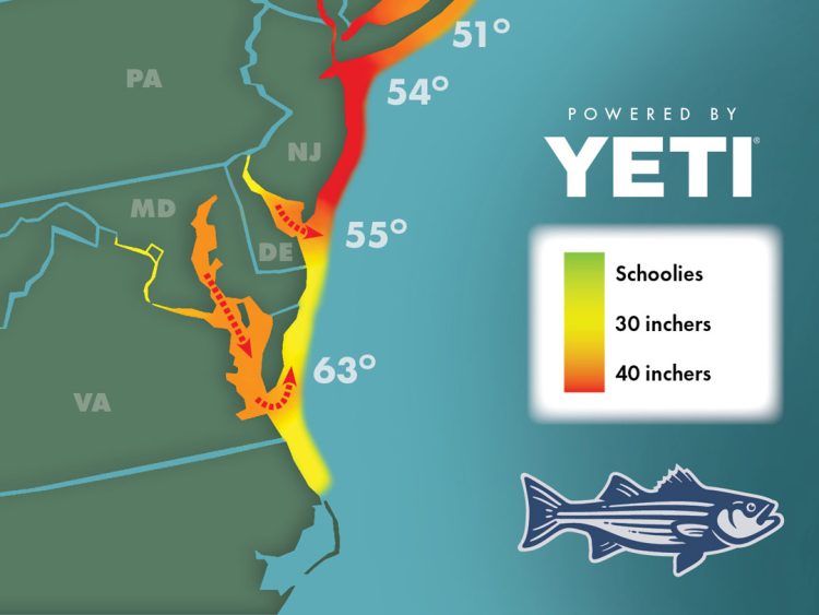 Striper Migration Map 5/5/2023