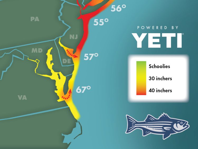 Striper Migration Map - May 12, 2023