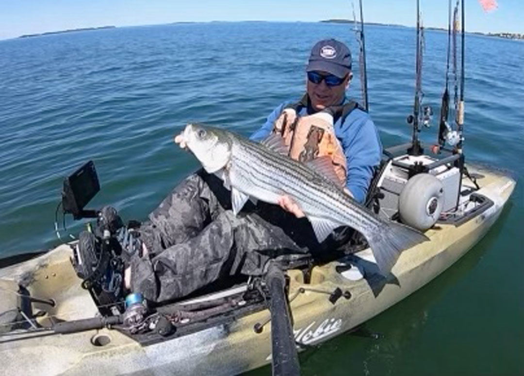Tom O'Brien striped bass