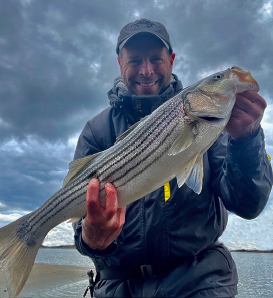 Boston harbor striped bass