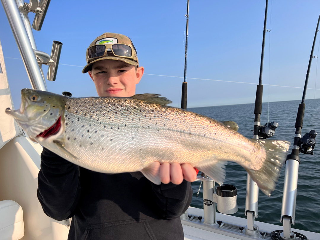 Marco T. brown trout