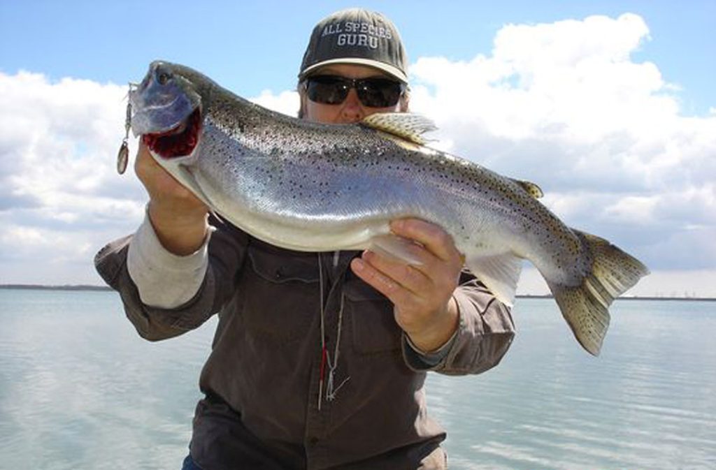 Mike Rzucidlo steelhead