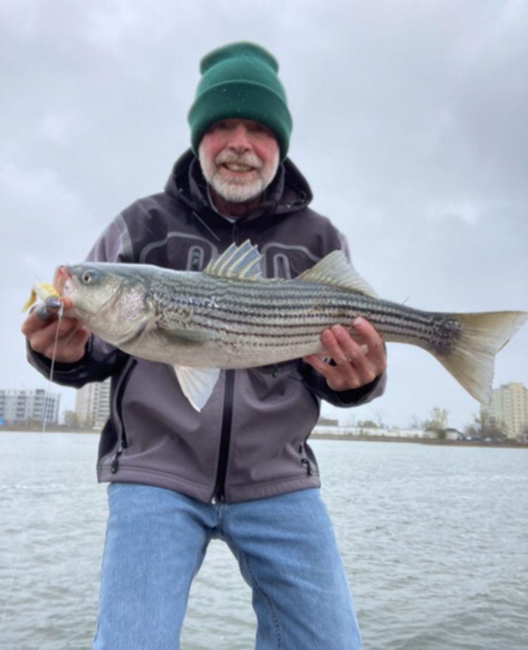 striped bass