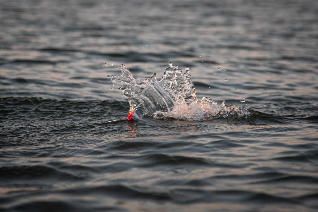 choosing a surf rod for topwater lures