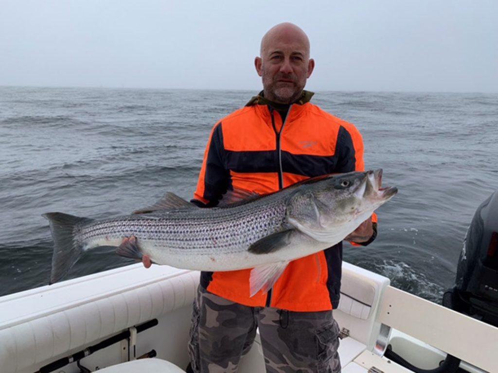 Herbert Colby IV striped bass