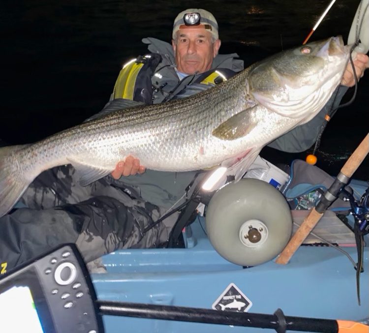 Marco Ciccerano striped bass