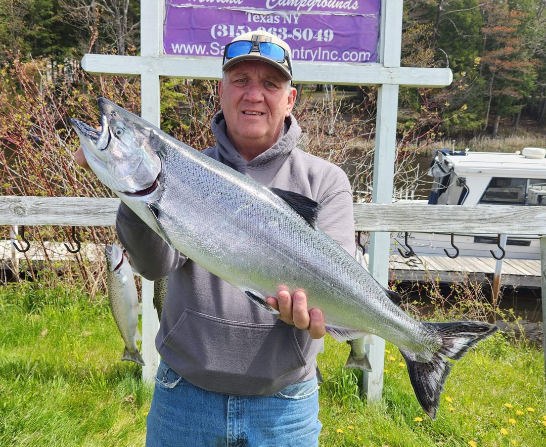 Steve H. king salmon