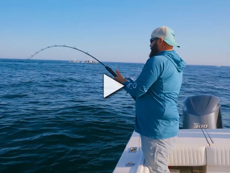 Tuna Fishing Essentials