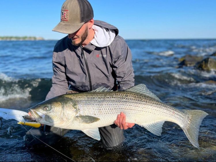 Boston shore striper