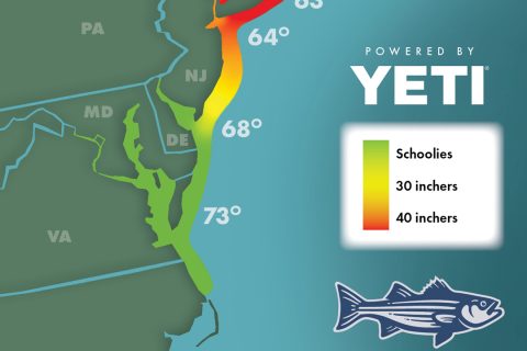 Striper Migration Map &ndash; June 16, 2023