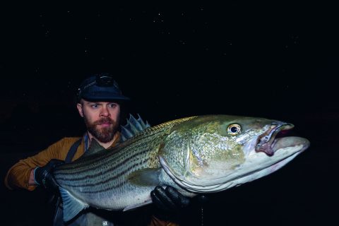 The Closer: Where Schoolies Beat the Skunk