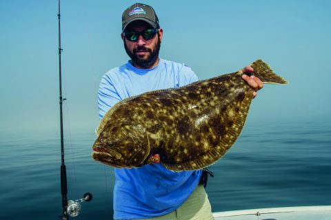 Catch Doormat Fluke with Snapper Bluefish