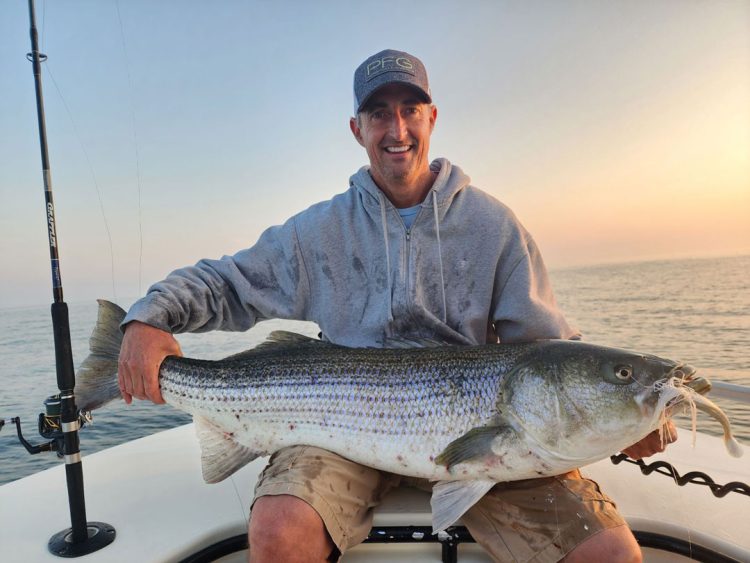 Big striped bass
