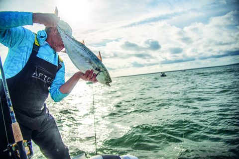 Beware the Albie&rsquo;s Siren Song | Fall Run Survival Guide