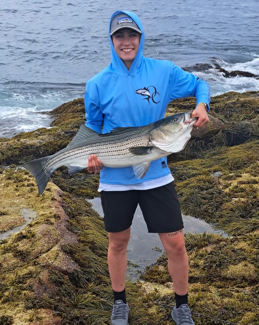 Cape Ann striped bass