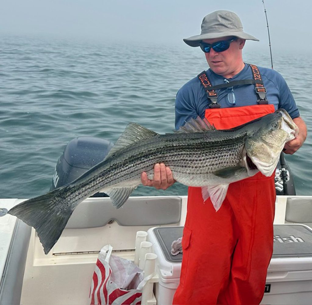 Legit Fish striped bass