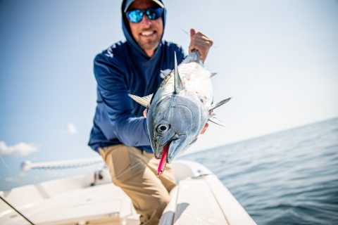 13 Must-Have Jigs for Albie Season