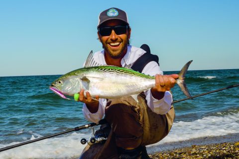 How to Catch False Albacore