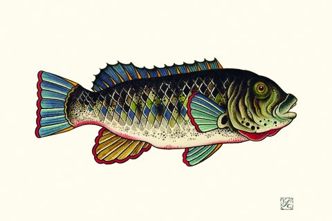 Angling Artist: Erik Schmidt