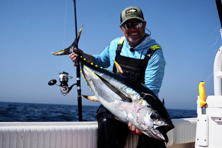 yellowfin