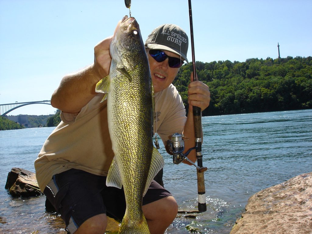 Mike Rzucidlo walleye