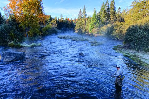 Fall Foliage and Connecticut River Trout