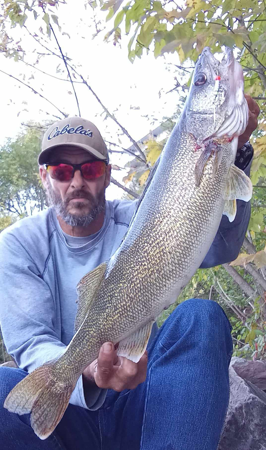 Mike Ziehm walleye