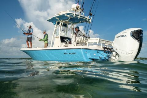 Honda BF350 on Sea Born Center Console