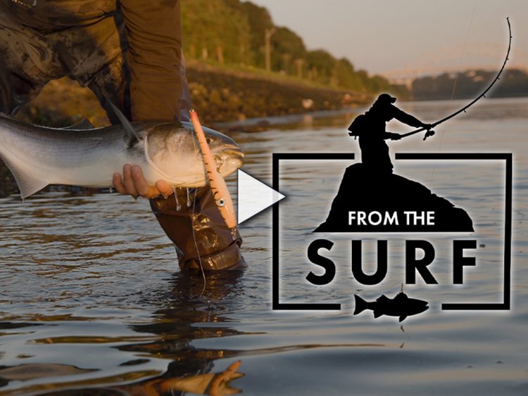From The Surf Ep. 3 - Cape Cod Canal