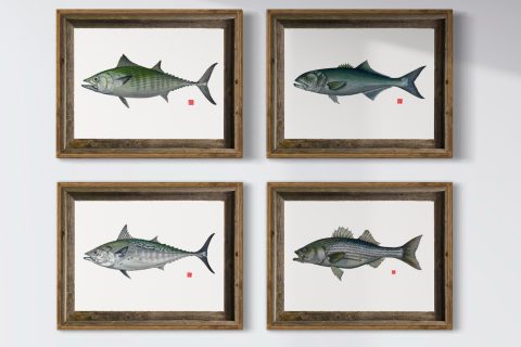 Angling Artist: Mike Palmer