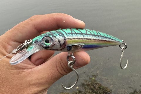 Choosing Inline Single Hooks for Striper Plugs