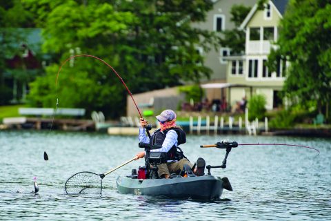 East Coast Kokanee Salmon