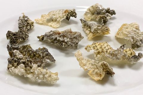 Fish-Skin Chicharrónes
