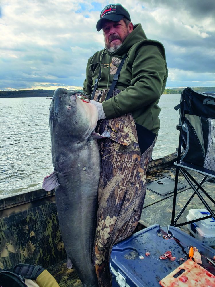 invasive blue catfish