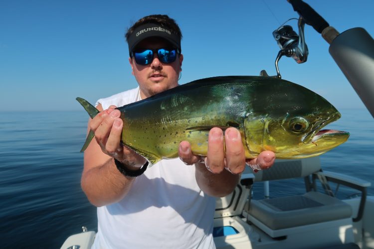 mahi fishing on Monster Ledge