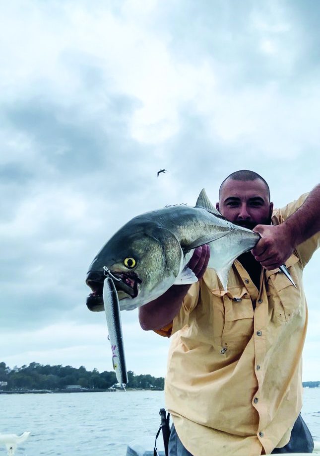 bluefish on bunker