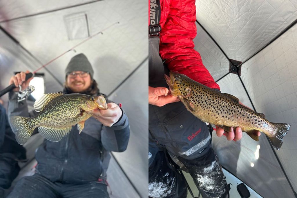 Josh from the Fishing Hole with brown trout and crappie