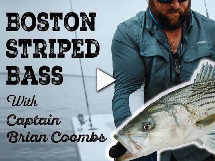 Striped bass fishing with Capt. Brian Coombs